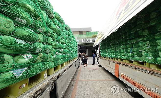 농산물 [연합뉴스 자료사진]