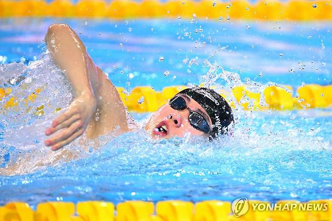 황선우의 세계선수권대회 역영 [AFP=연합뉴스]