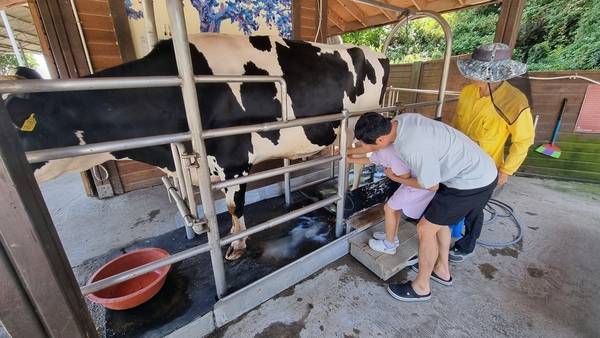 ▲ 목장 히어로즈 참가 가족이 직접 체험하고 있다. 사진=이솔희 명예기자