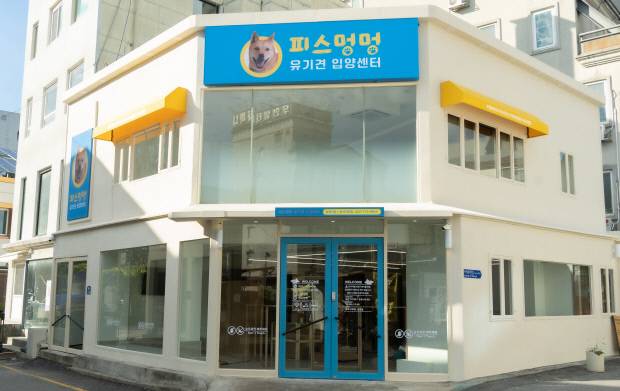 30일 광주 동구는 ‘유기견 입양센터’를 정식 개소한다. 광주 동구청 제공