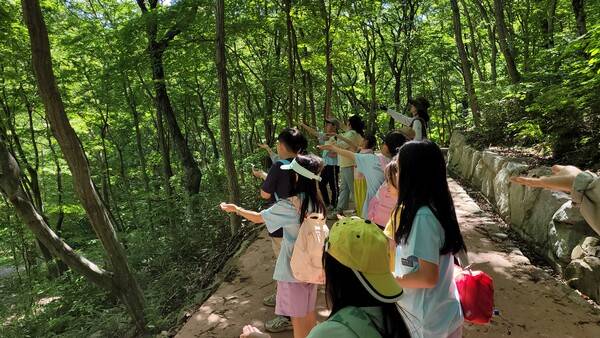 밀양 산외초등학교 아이들이 ㈔밀양사자평습지와 재약산생태관광협의회 재약산 국가생태탐방로에서 생태체험을 하고 있다. /밀양 생태관광협의회
