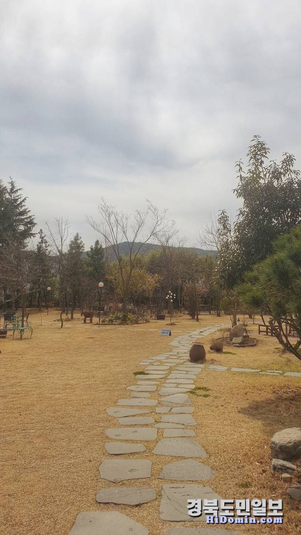 울산에서 온 최연수 씨가 촬영한 봄날 정원의 모습으로, 잎을 모두 떨군 나무사이 목련이 환하게 꽃을 피우고 있다. 사진=최연수 씨 제공