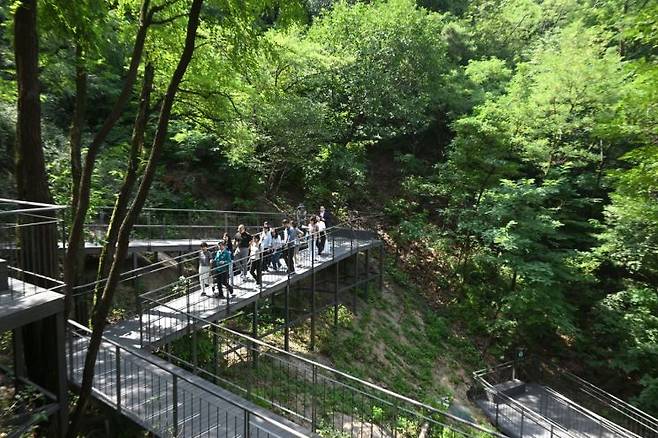 지난해 전면 개통한 남산자락숲길. 중구 제공.