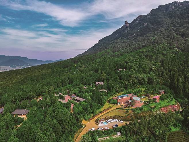 장흥 정남진 편백숲 우드랜드