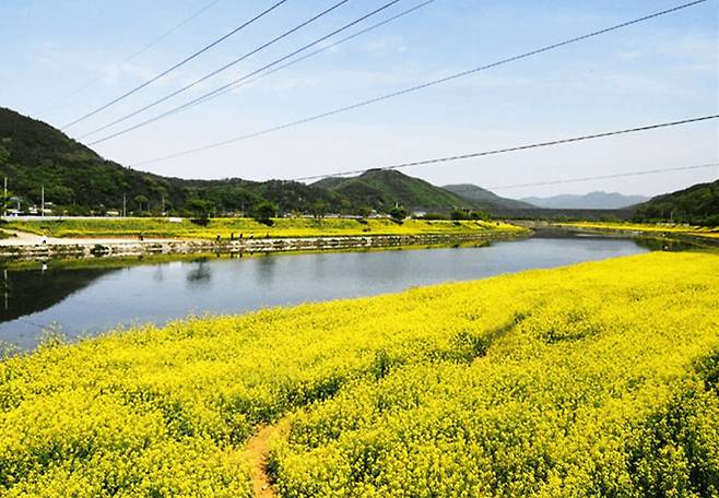 장성 황룡강생태공원