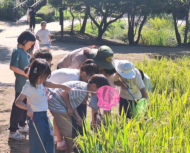 숲 해설 프로그램