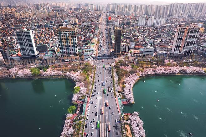 [송파구 제공]