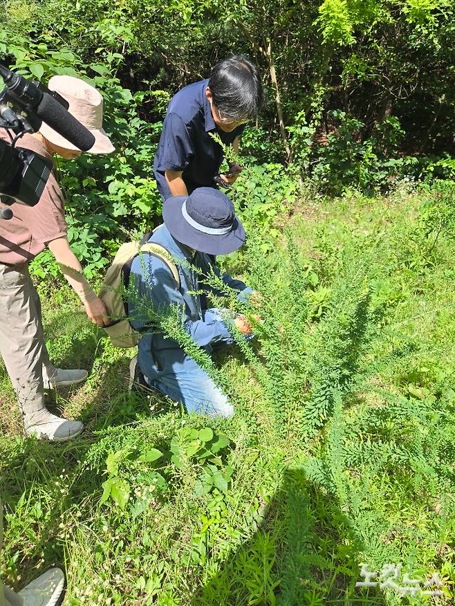 경기도 고양시가 지난 달 산황산 일대 골프장 증설 계획을 인가하면서 반발 여론이 확산하고 있다.  산황산 골프장 증설 계획은 10년 넘게 장기 미집행돼왔다. 고양시의회도 지난 2월 도시계획 해제 권고안을 통과시켜 골프장 증설안은 폐기 수순을 밟고 있던 터였다. 취재진이 최근 고양환경운동연합 조정 의장과 생태학자 이강운 박사와 함께 산황산 일대 식생 관찰에 나섰다. 사진 = 고양환경운동연합