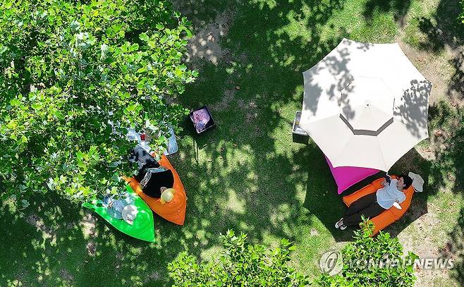 '나무 그늘에서 독서 어때요?'…수북수북 야외도서관 (대구=연합뉴스) 윤관식 기자 = 폭염이 이어진 29일 대구 수성구 수성패밀리파크에서 열린 '제9회 수성인문학제 수북수북 야외도서관' 행사를 찾은 시민들이 나무 그늘에서 독서하며 더위를 식히고 있다. 2025.7.29 psik@yna.co.kr