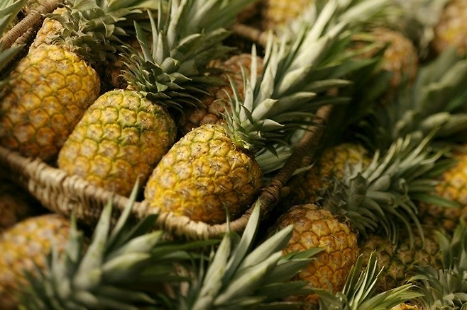 파인애플
