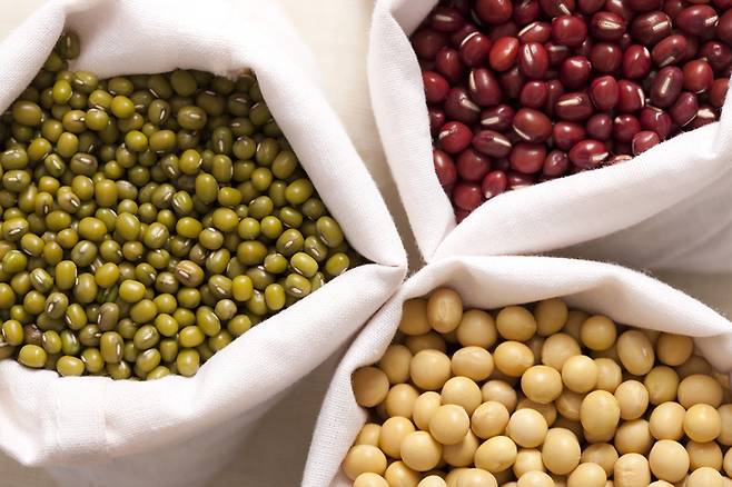 콩류. [사진= 게티이미지뱅크]