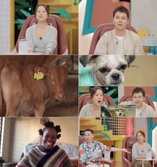 ‘세상에이런일이’ 현실판 애순이 후일담 (사진: SBS)