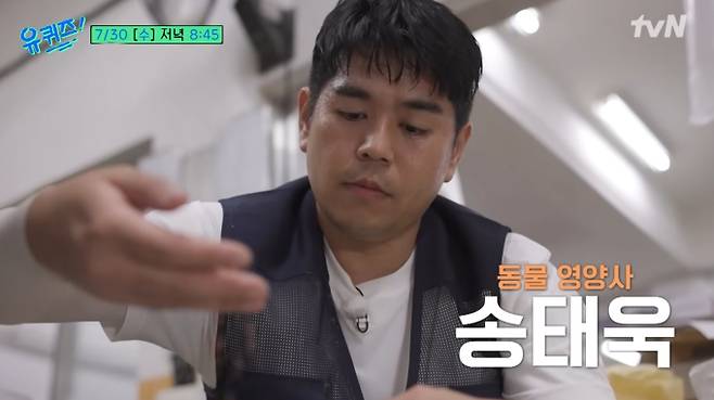 '유퀴즈' 동물 영양사, 송태욱, 유퀴즈 온 더 튜브