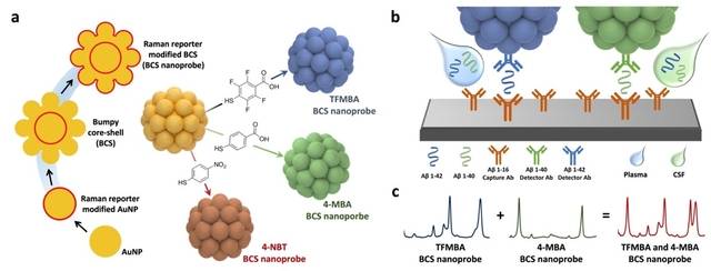 표준연이 개발한 SERS 기반 ‘초고감도 다중 정량 검출 플랫폼’ 모식도.