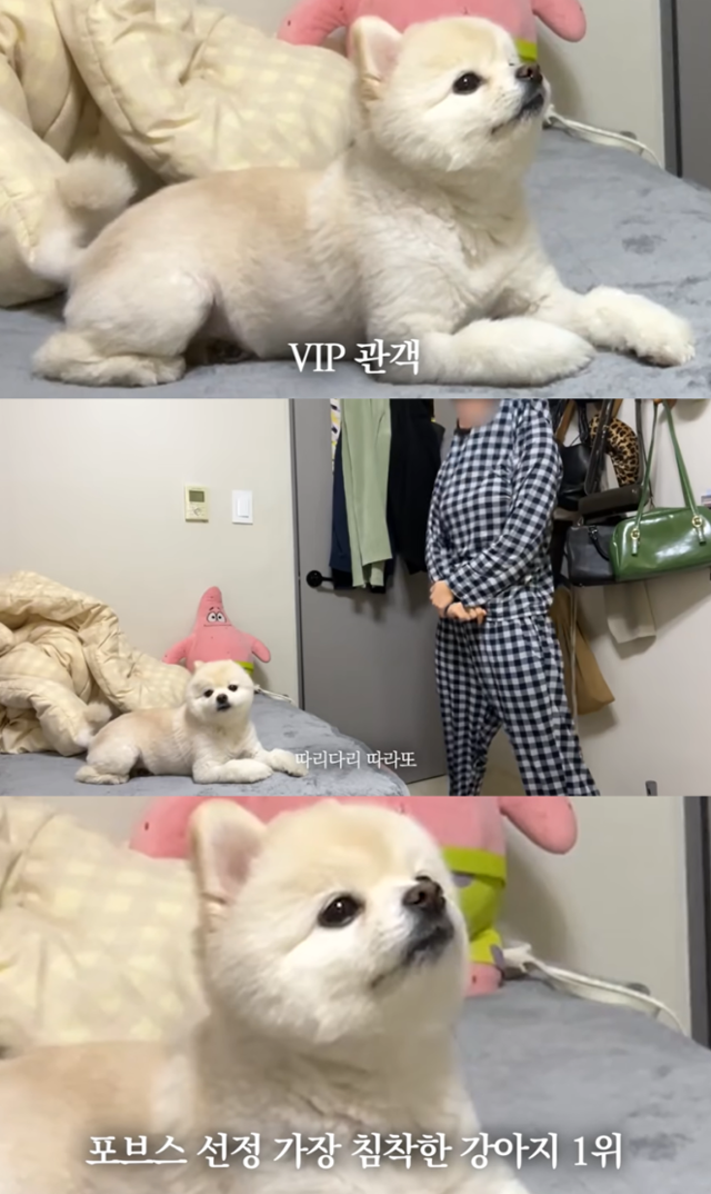 유튜브 화면 캡처