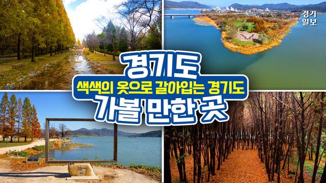 [썸네일] 아직 늦지 않았다! 단풍 구경하기 좋은 명소 2곳. 김다희PD