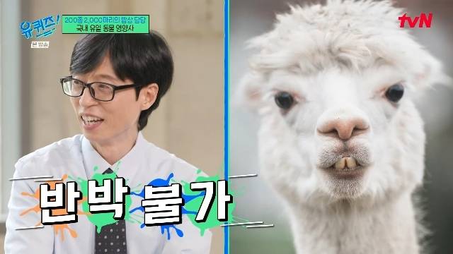 tvN ‘유 퀴즈 온 더 블럭’ 캡처