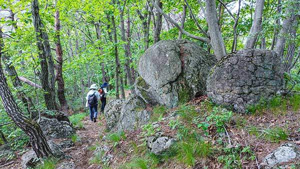 바위들이 귀한 전형적인 육산.