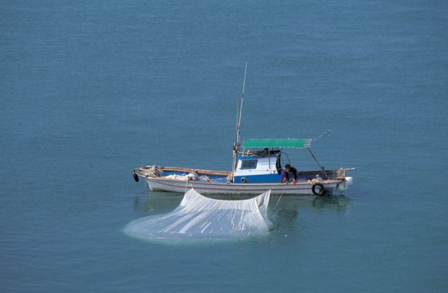 기사 이해를 돕기위한 자료사진, 이미지투데이