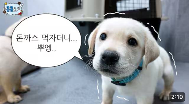 관세청 공식 유튜브 갈무리