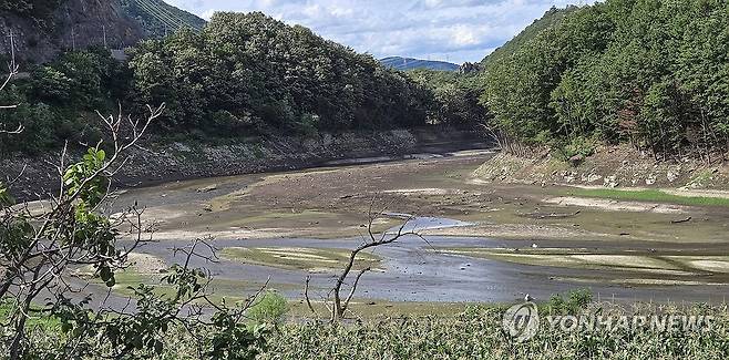 전국은 물난리인데 강릉은 물 부족 심각 [연합뉴스 자료사진]