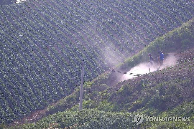 폭염