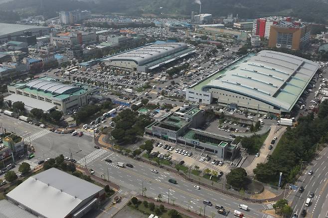 광주 서부농산물도매시장이 8월 2·3일 동안 여름 휴업을 진행한다. 수산물공판장은 정상 영업한다. 사진은 서부도매시장의 모습. /광주시 제공
