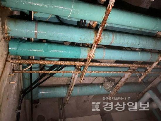 ▲ 울산의 수산 1번지 동구 방어진항 일원에 위치한 '방어진 냉동공장'이 준공 27년만에 대대적인 시설 개선 공사에 들어간다. 사진은 녹이 슨 지하 암모니아 배관 모습. 울산 동구청 제공