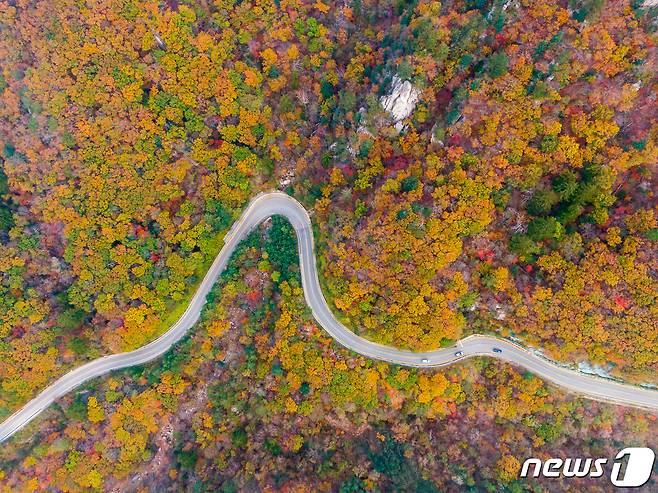 원 양양에서 인제군에 걸친 설악산국립공원 한계령 일대에 물든 단풍(뉴스 DB)ⓒ News1 안은나 기자