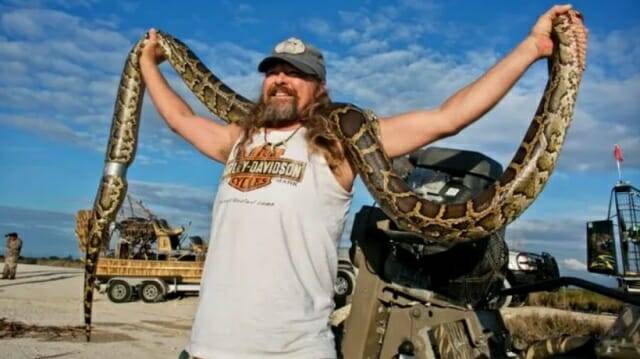 2020년에 개최된 챌린지에서 뱀 사냥꾼이 약 3.6m의 버마 비단뱀을 잡아 들어올리는 모습 (사진=더팜비치포스트 그렉 러벳)