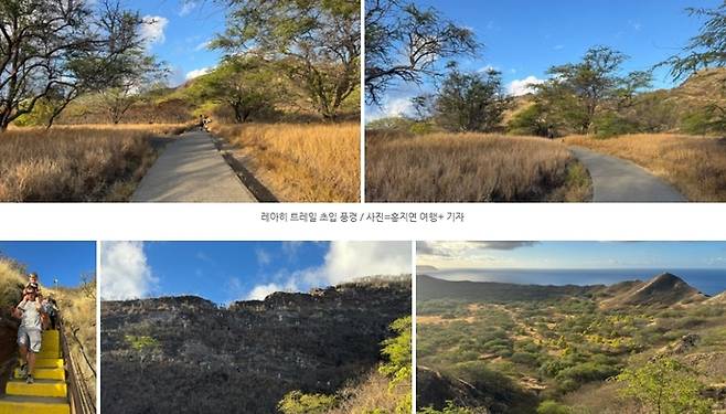 레아히 트레일 / 사진=홍지연 여행+ 기자