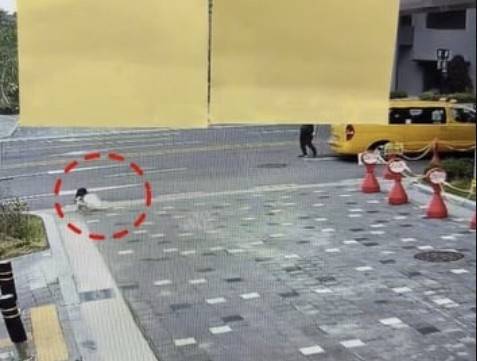 운전자는 차량에서 내려 A양의 상태를 살피는 듯하더니 별다른 조치를 취하지 않고 1분도 채 되지 않아 현장을 떠났다. [인스타그램 ]