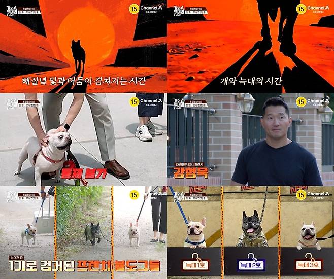 사진=채널A