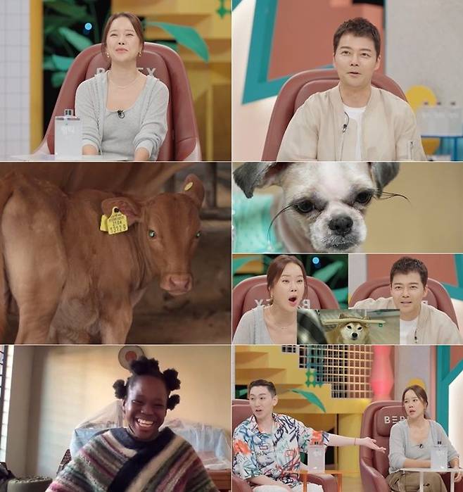 [서울=뉴시스] 오는 31일 오후 9시 방송하는 SBS TV 프로그램 '와! 진짜? 세상에 이런일이'에서는 MC 전현무·백지영·김호영·수빈 네 사람과 함께 '종합선물세트 특집'이 펼쳐진다. (사진=SBS '와! 진짜? 세상에 이런일이' 제공) 2025.07.30. photo@newsis.com *재판매 및 DB 금지