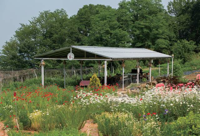 오 대표는 아름답고 쾌적한 환경이 치유 경험에도 도움이 될 것이라 판단해 야외 쉼터와 농막 등의 공간을 단장할 때도 주변 풍경과 어우러지는 소재와 형태를 고심했다.