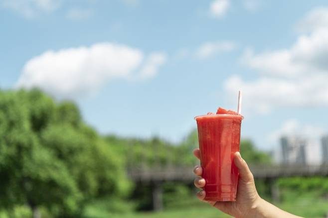 수박 자료 이미지. 아이클릭아트