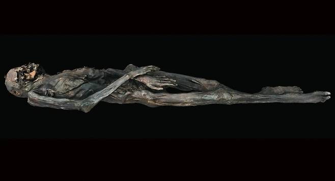 2000년이 넘는 파지리크(Pazyryk) 출신의 여성 미라 몸에서 문신이 발견됐다. M. Vavulin / Antiquity Publications Ltd