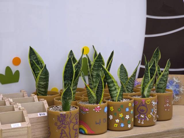 쌀플라스틱으로 만든 원형화분. 사진제공=성동구