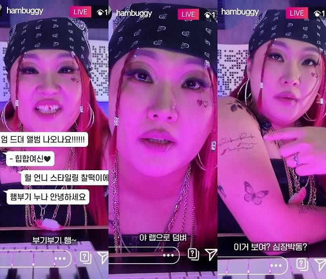 이수지의 부캐 햄부기. 유튜브 채널 ‘핫이슈지’ 영상 캡처