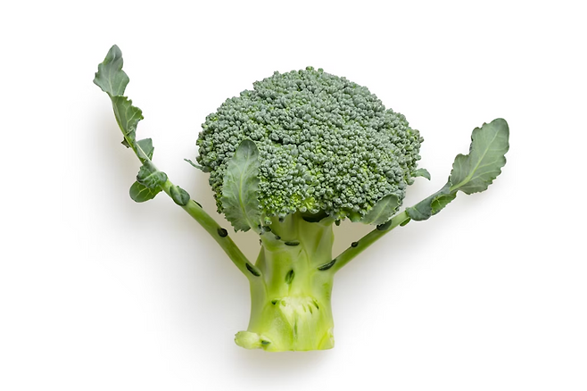 브로콜리