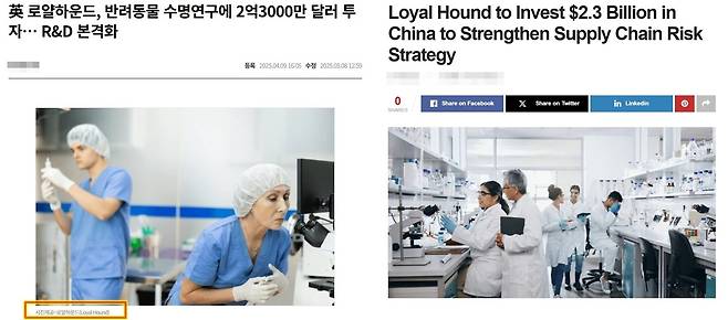 셔터스톡, 프리픽과 같은 유료 이미지 사이트 사진이 사용된 로얄하운드 기사(온라인 기사 갈무리). ⓒ 뉴스1