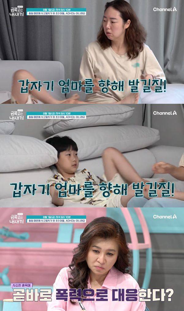 ⓒ채널A