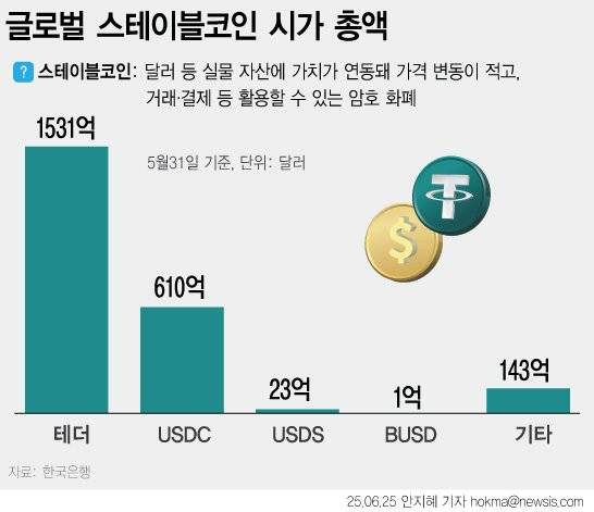 글로벌 스테이블코인 시가총액(5월 말 기준). 뉴시스 제공