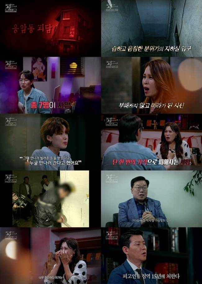 SBS 제공