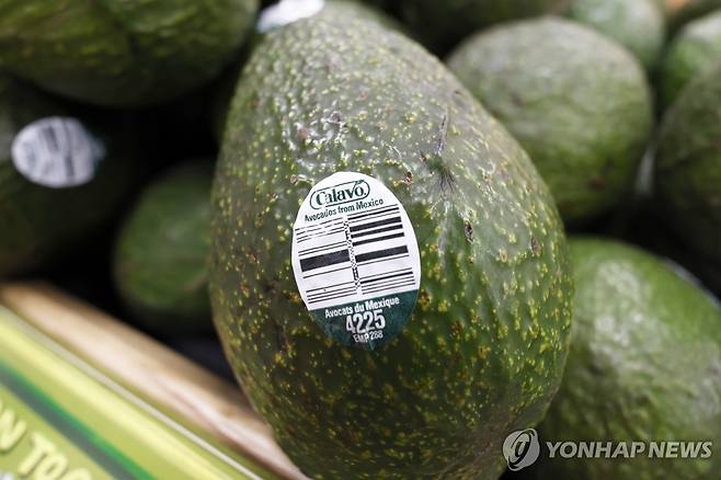 미국 마트에 진열된 멕시코산 아보카도 [EPA 연합뉴스 자료사진. 재판매 및 DB 금지]