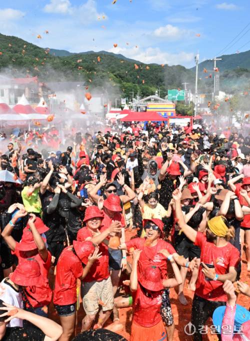 2일 화천 사내면 사창리에서 열린 2025 화천토마토축제에서 관광객들이