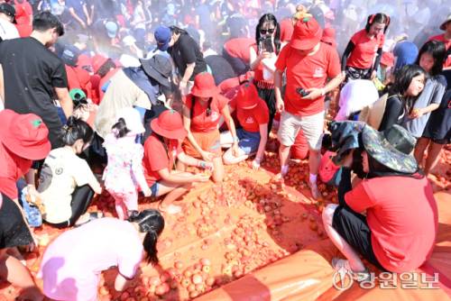 2일 화천 사내면 사창리에서 열린 2025 화천토마토축제에서 관광객들이