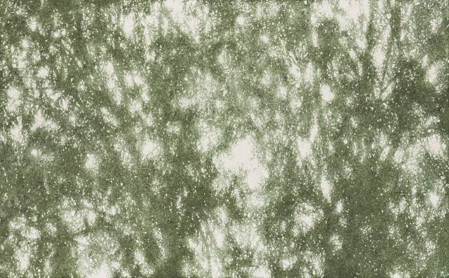 이주희, 마음이 자라나는 순간, 2025. 카린갤러리 제공