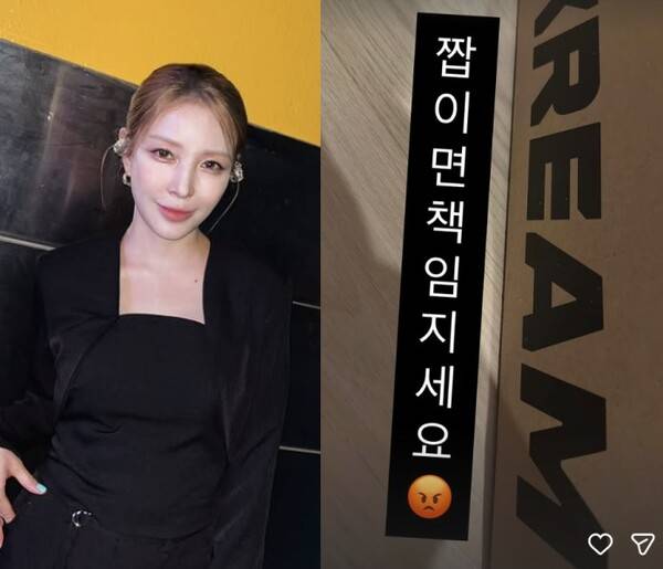 ⓒ보아 SNS