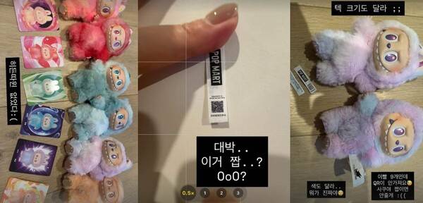 ⓒ보아 SNS